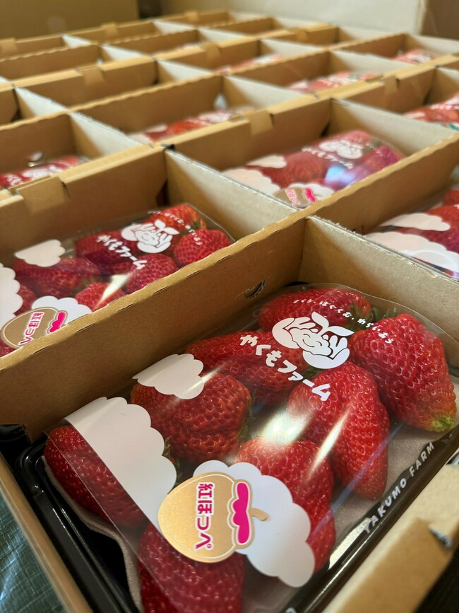 いちご（特選）