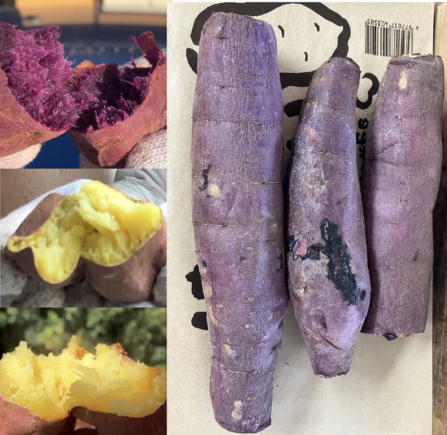 焼き芋食べ比べ3本セット