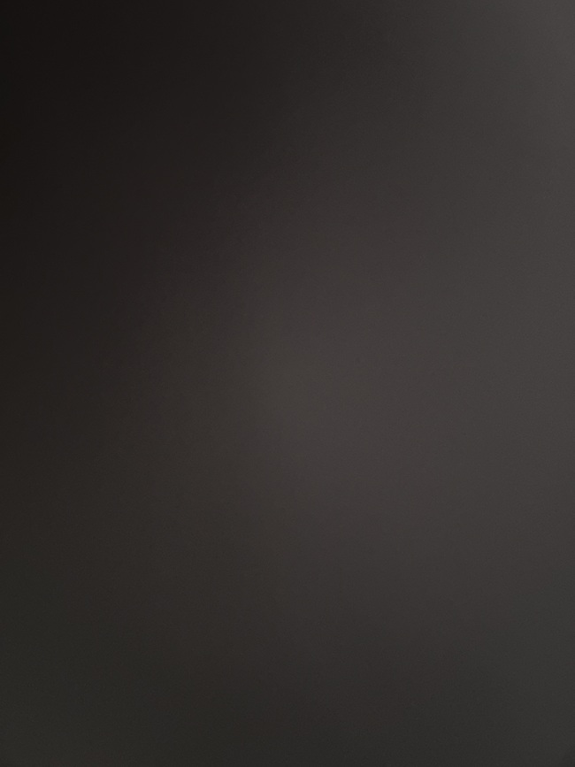 からあげ丼　メガ