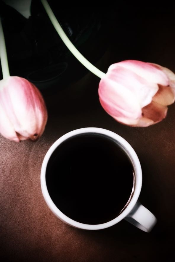 スペシャルティホットコーヒー