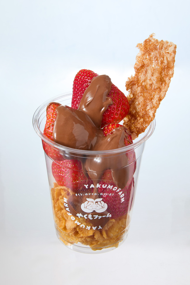 チョコがけいちご（大）