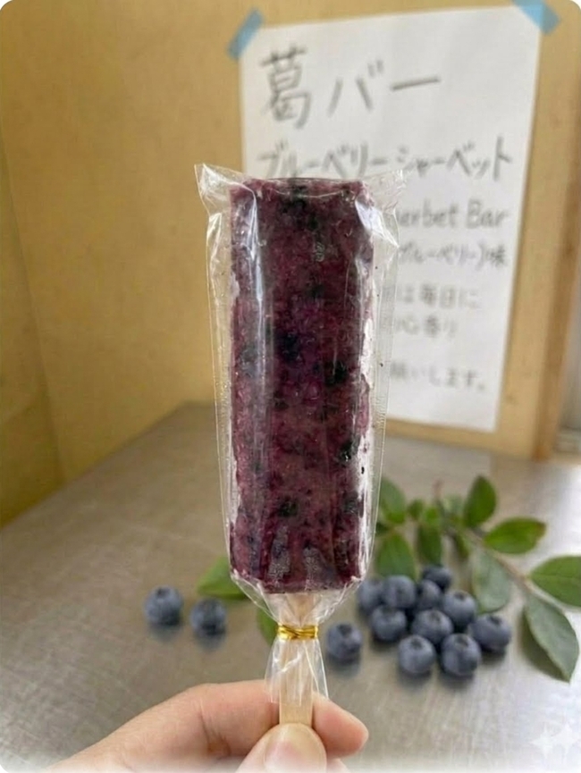 葛バーブルーベリーシャーベット