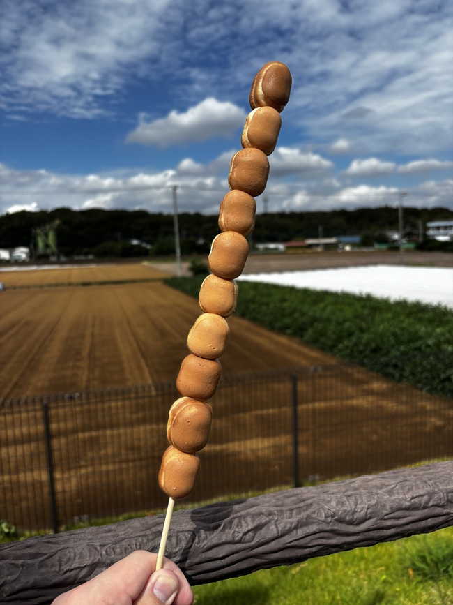 生ベビーカステラ串