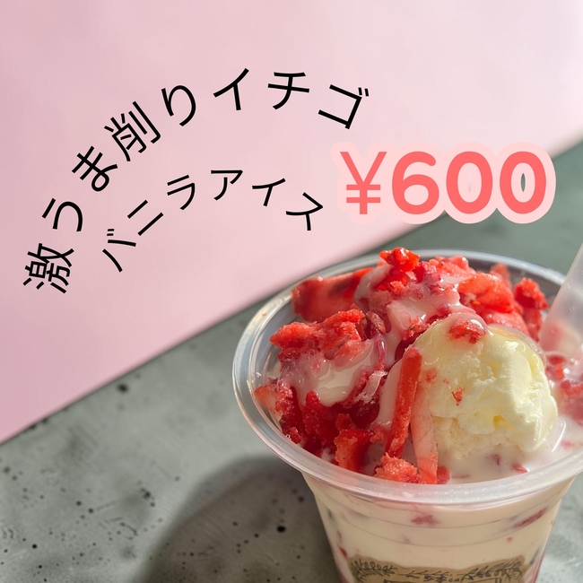 削りイチゴバニラアイス