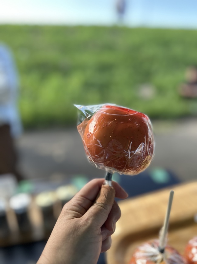 りんご飴