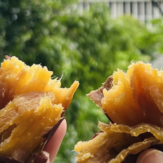 炭火焼き芋　銘柄:鹿児島県知覧【みなみちゃん】