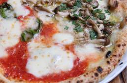 PIZZERIA VACANZA