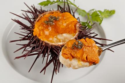 豊富な魚介料理とワインを学べます!!
