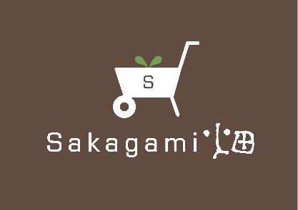 Sakagami畑