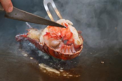 国産 天然活伊勢海老
