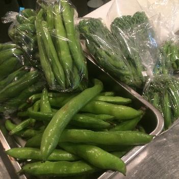 朝採りの野菜、フルーツ、卵