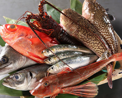 佐島漁港の漁師より直接仕入れる天然の魚介