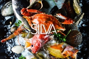 SILVA 名駅