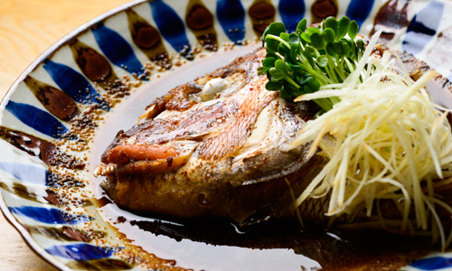 魚の捌き方から教えていきます