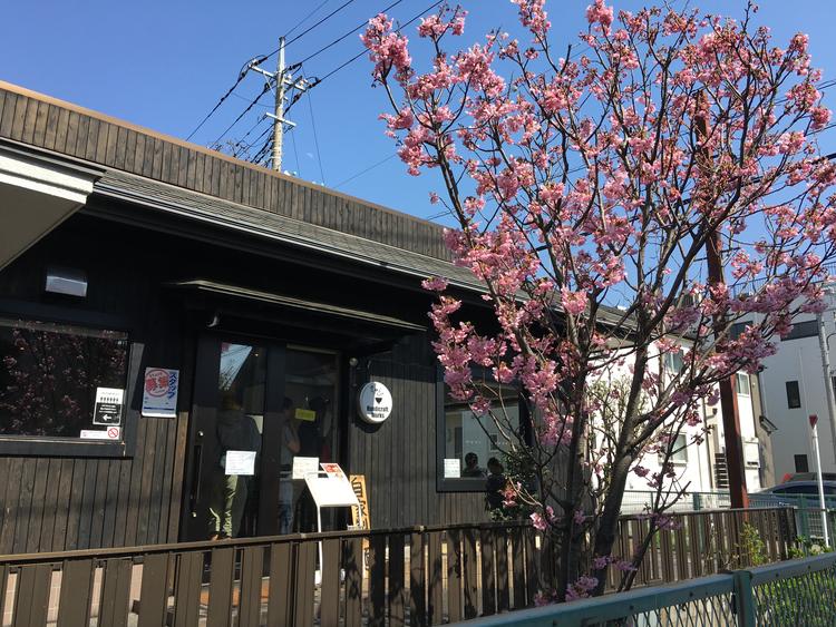 当店の外観サクラが綺麗です