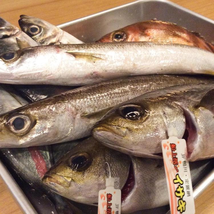旬のものを揃えてあります。もちろんお魚も