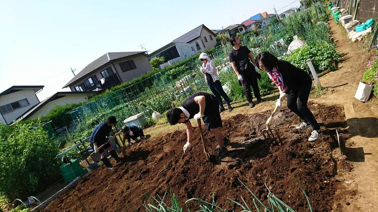 自社農園で取れた野菜を!