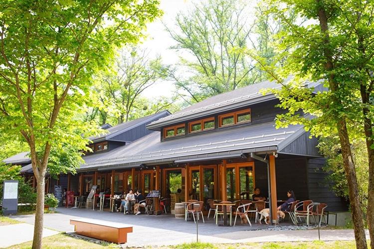 ハルニテラスにもお店があります!
