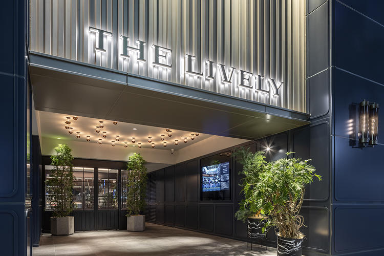 THE LIVELY KITCHEN