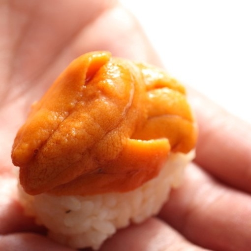 寿司 向月 本館