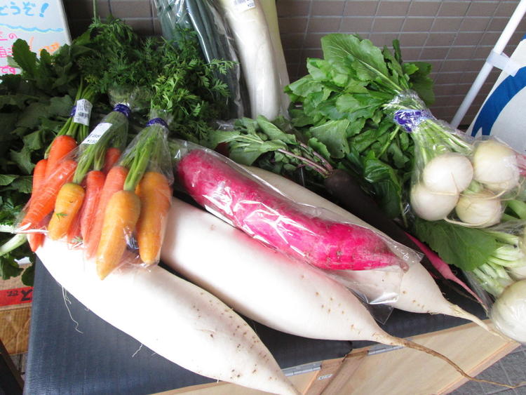 三浦野菜