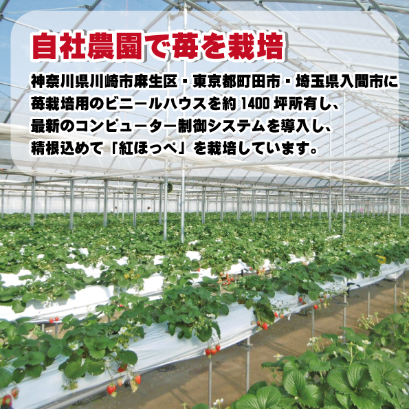 いちご一会浅草雷門店