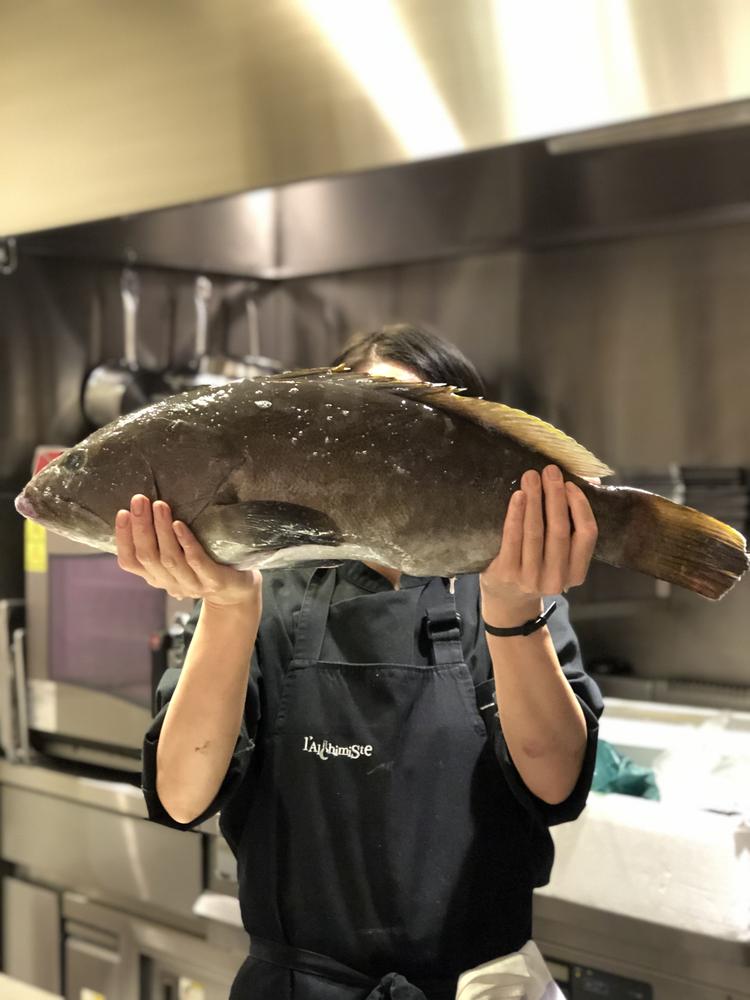五島列島から直接仕入れる魚