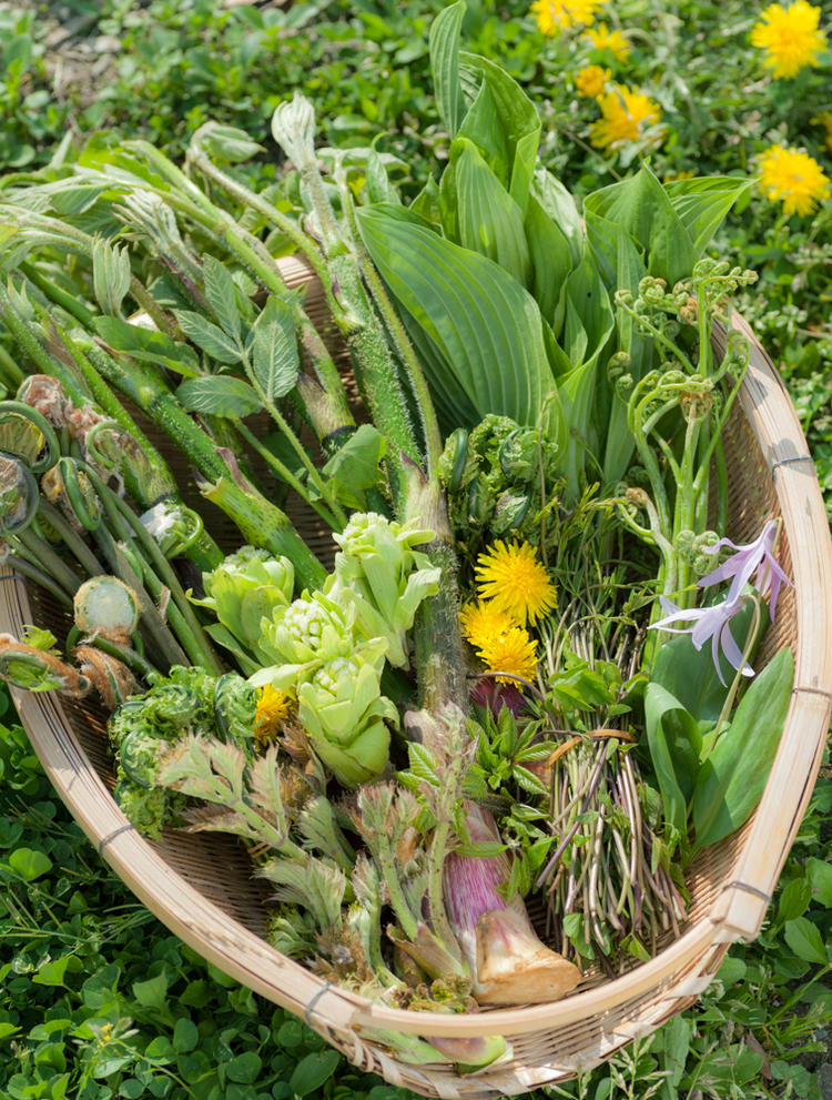 産直野菜はすぐ売り切れるほどの人気!