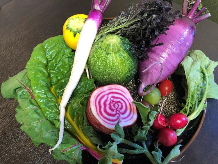 鎌倉・三浦野菜