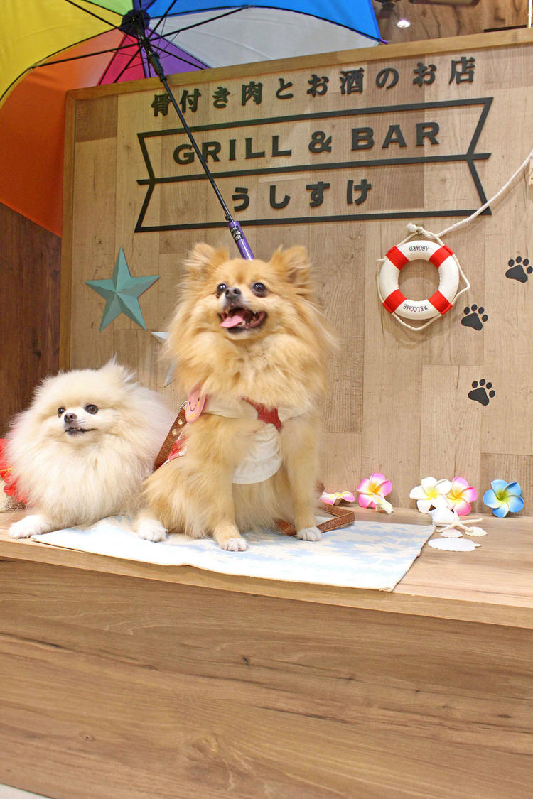 GRILL&BAR うしすけ ヴィーナスフォート店