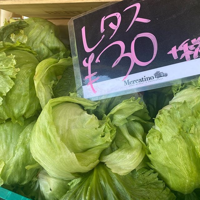 驚きの価格が出せるのが強みです。