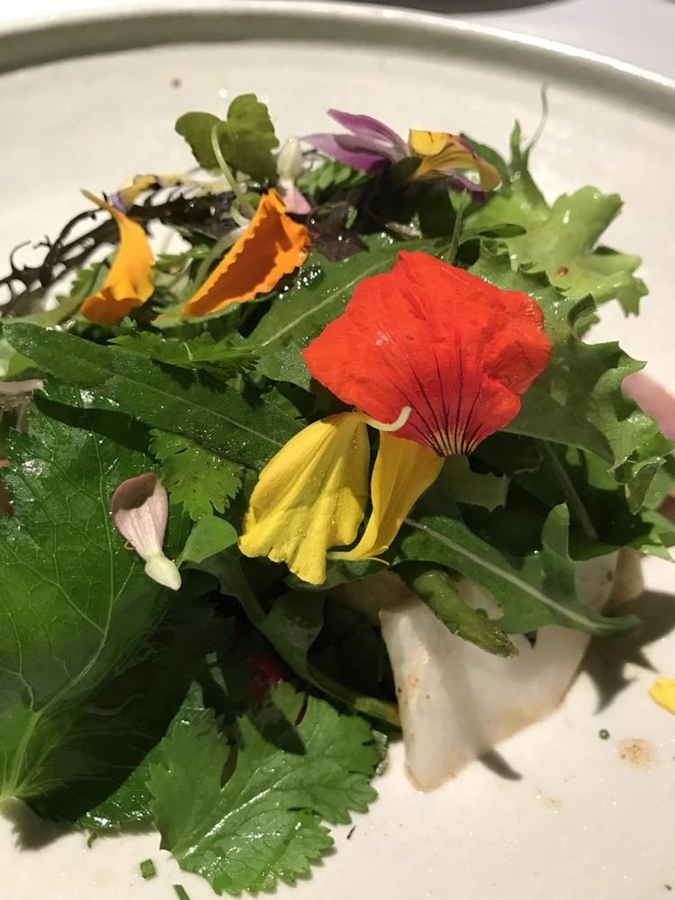 梶谷農園の無農薬野菜