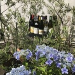 外観は多くの植物で鮮やかに