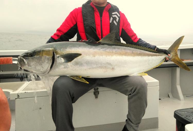 カゲロウ釣り部 in勝浦