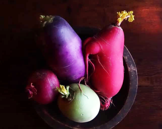 農家から直接仕入れる無農薬野菜