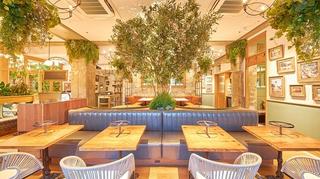 Green house by mercer brunch