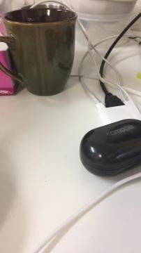 ロバートのライブ