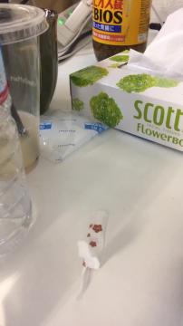 ロバートのライブ