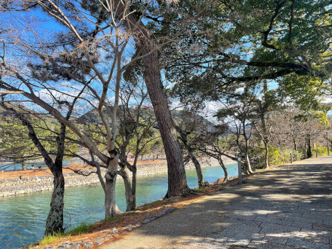 宇治の風景