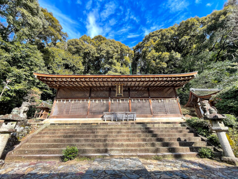 宇治上神社_本殿