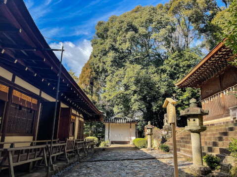 宇治上神社