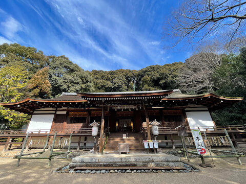 宇治上神社_拝殿