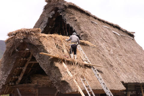 合掌造りの修復作業中の男性