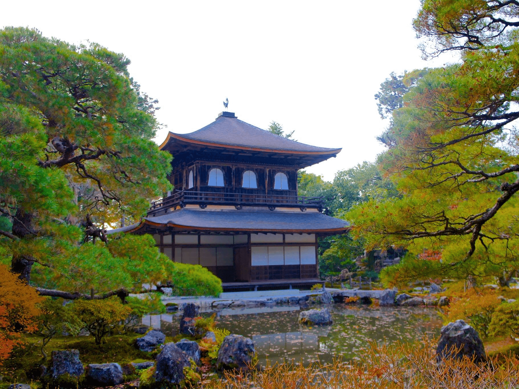 東山文化を象徴する 銀閣寺 の観光ガイド 世界遺産のお寺を散策しよう Tabi Channel