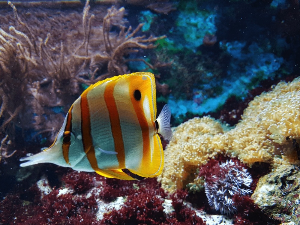 Malta National Aquarium