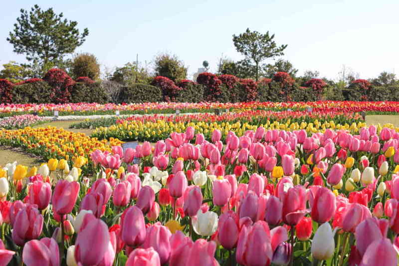 吉田公園