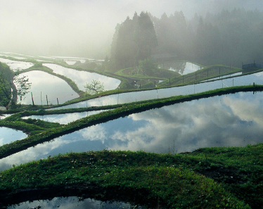 滋賀の日本酒【萩乃露(はぎのつゆ)】日本の原風景、里山の恵みを活かした酒造り
