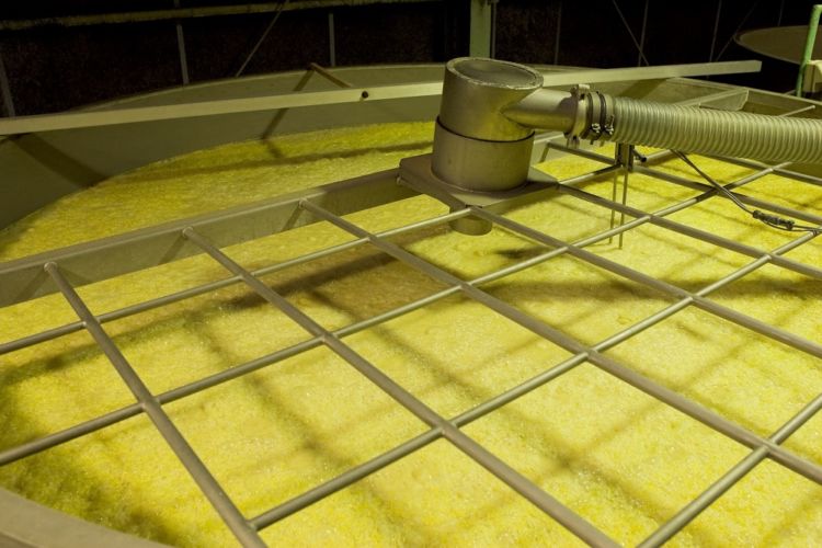「焙煎 つくし ROAST」の製造元の西吉田酒造について