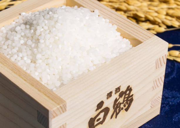 「白鶴」の名を冠した酒造好適米「白鶴錦」の開発
