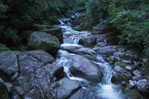 「水ノ森」は世界遺産の島が育む限定酒